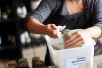 Silk Road Spice Merchant in Inglewood, Calgary